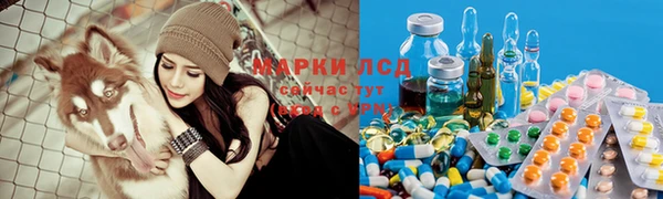 крисы Саяногорск