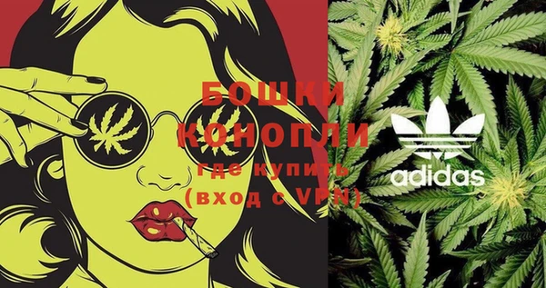 крисы Саяногорск