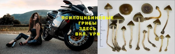 спиды Сатка