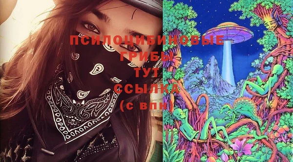 крисы Саяногорск