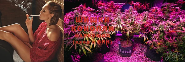 метадон Сафоново